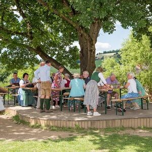 Sieben auf einen Streich