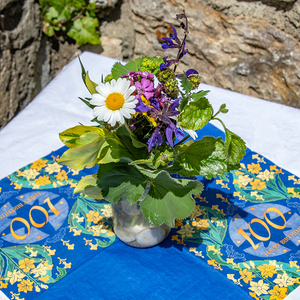 Frau Johanna Glettler feierte 100 Jahre