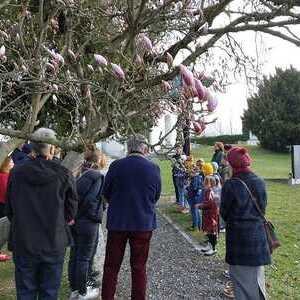 Die Erfahrungen aus dem letzten Weg Jesu