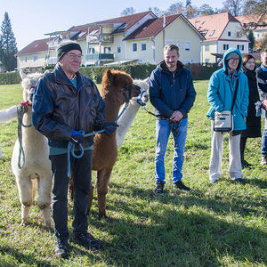 Unser Pfarrfest am Martinisonntag