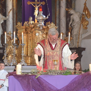 Palmweihe 2025 in Peggau